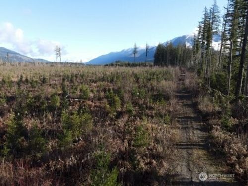 9523 Heady Rd, Sumas, WA, 98295-8101 | Card Image