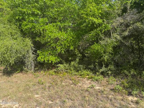 0000 Devonshire Drive, Chipley, FL, 32428 | Card Image