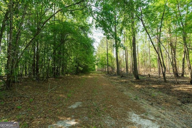 6053 Sun Hill Grange Rd, Home with 0 bedrooms, 0 bathrooms and null parking in Davisboro GA | Image 19