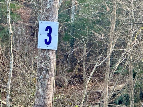 Lot 3 Radford Rd, East Bernstadt, KY, 40729-6937 | Card Image