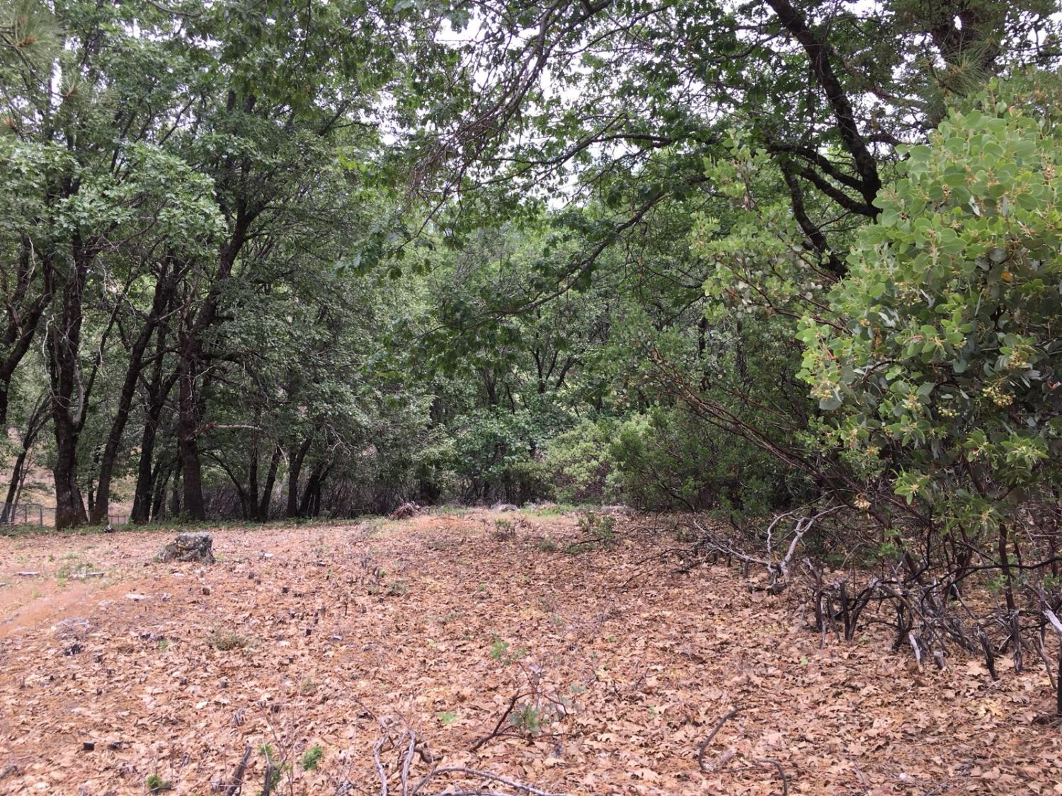 Land in Colfax 3