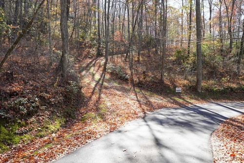 none Silly Ridge Road, Scaly Mountain, NC, 28775 | Card Image