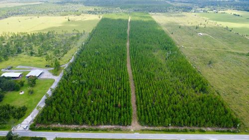 TBD Borders Rd, Wewahitchka, FL, 32465 | Card Image