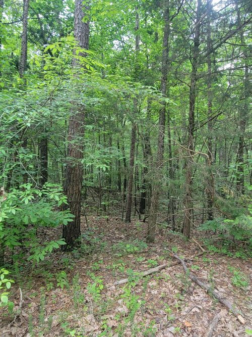 gvn863-0 Pitser Rd, Saulsbury, TN, 38067 | Card Image