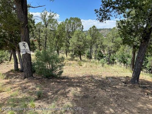 317 Granite Dr, Ruidoso, NM, 88345-7711 | Card Image