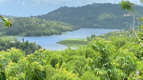 KM.HM 4.5 Sec. El Salchicon, Bo. San Antonio, CAGUAS, PR, 00725 | Card Image