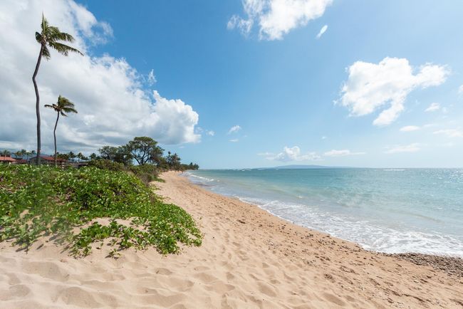 APT-301 - 938 S Kihei Rd, Condo with 1 bedrooms, 1 bathrooms and null parking in Kihei HI | Image 29