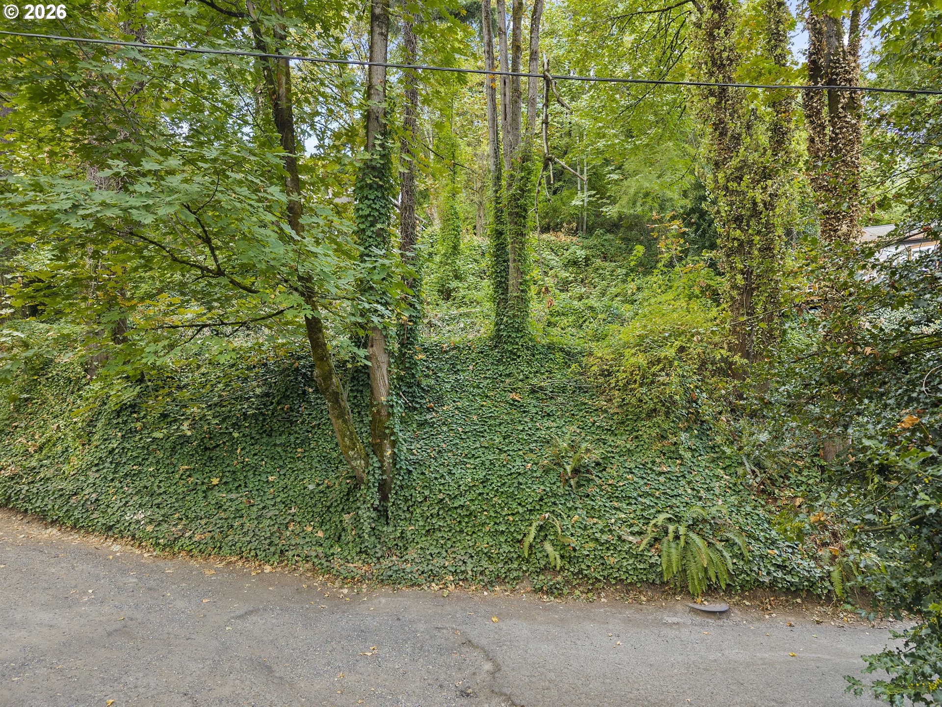 Land in Portland 3