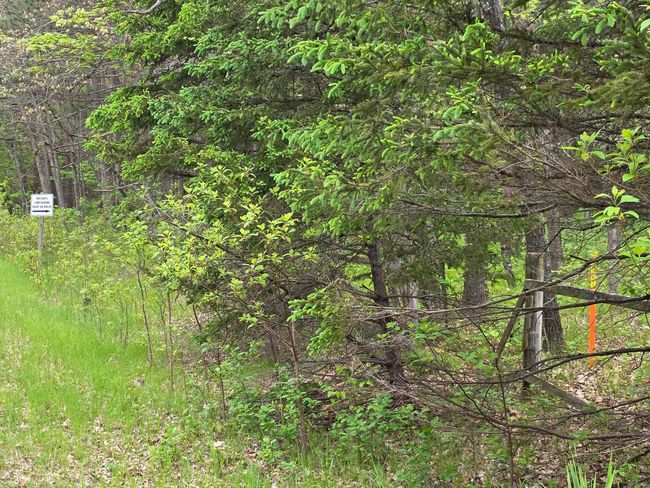 7470 Becker Rd, House other with 3 bedrooms, 1 bathrooms and null parking in Manistee MI | Image 4