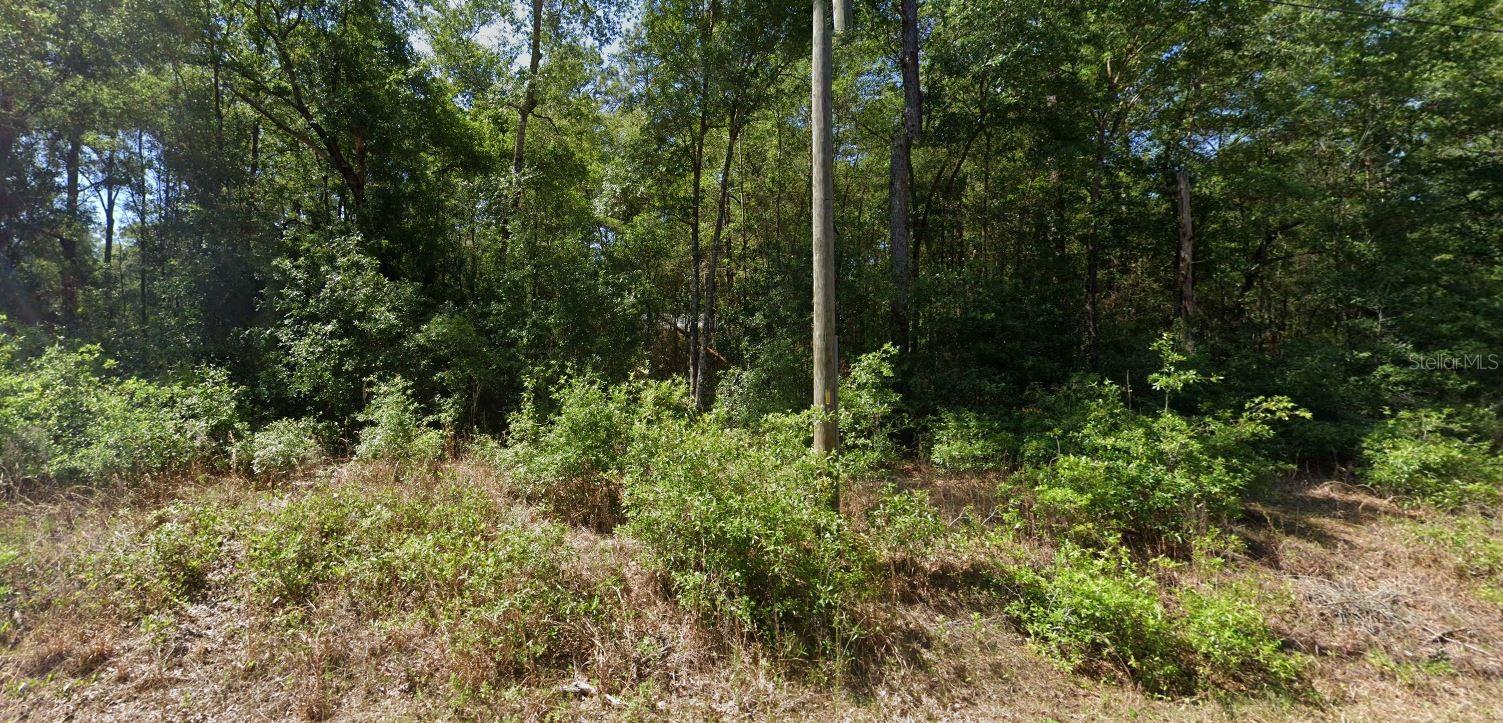 Land in DUNNELLON 2