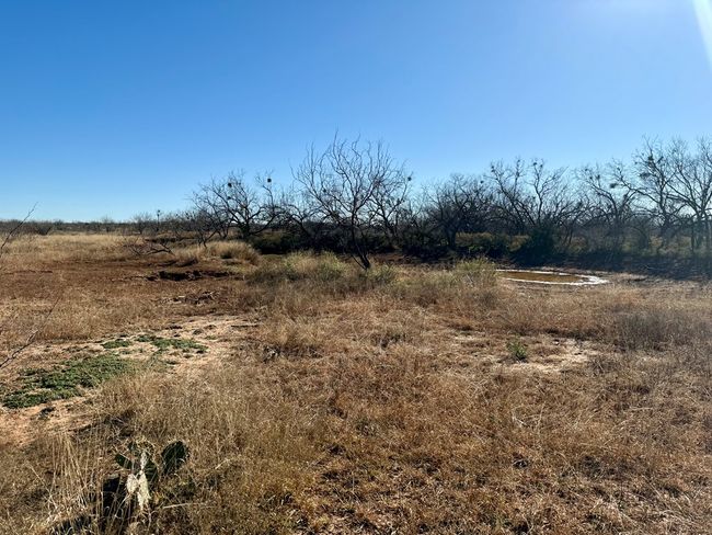 00 W Hwy 158, Home with 0 bedrooms, 0 bathrooms and null parking in Bronte TX | Image 9