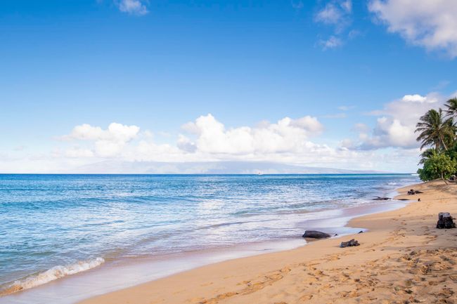 237 - 130 Kai Malina Pkwy, Condo with 0 bedrooms, 1 bathrooms and null parking in Lahaina HI | Image 45