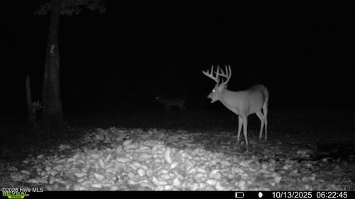 0 Atkinson Cemetery Rd, Atkinson, NC, 28421 | Card Image