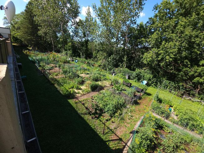 Association garden amenity | Image 19