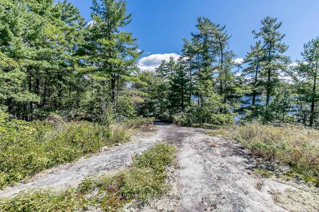 30 Webber Island N/A, Home with 0 bedrooms, 0 bathrooms and null parking in Georgian Bay ON | Image 8