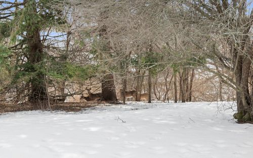 104-945 W Heritage Court, Mequon, WI, 53092 | Card Image