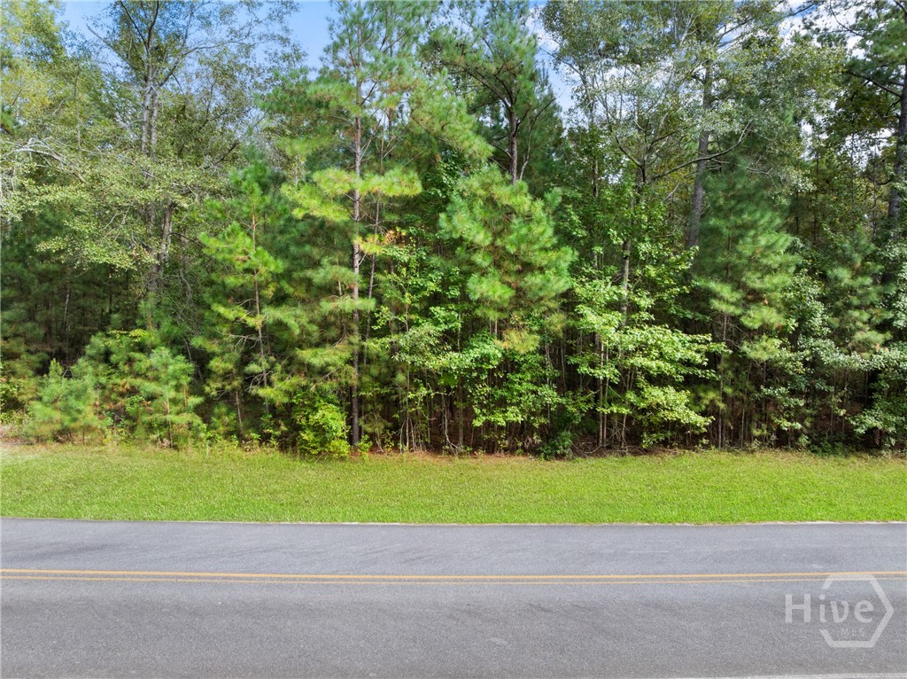 Land in Statesboro 2