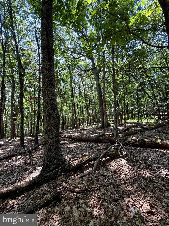 Land in UPPER TRACT 3