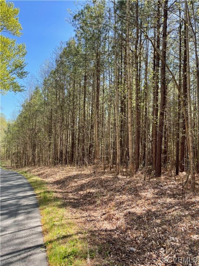 lot 2 Owens Creek Road, Home with 0 bedrooms, 0 bathrooms and null parking in Mineral VA | Image 8