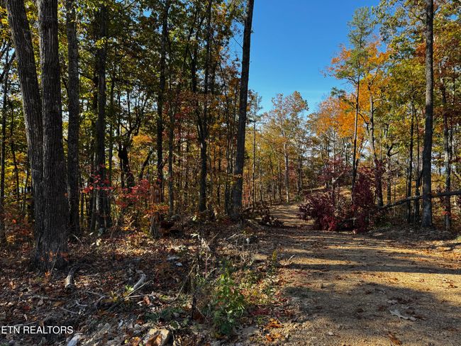 0 Mountain Ash Way, Home with 0 bedrooms, 0 bathrooms and null parking in Sevierville TN | Image 17