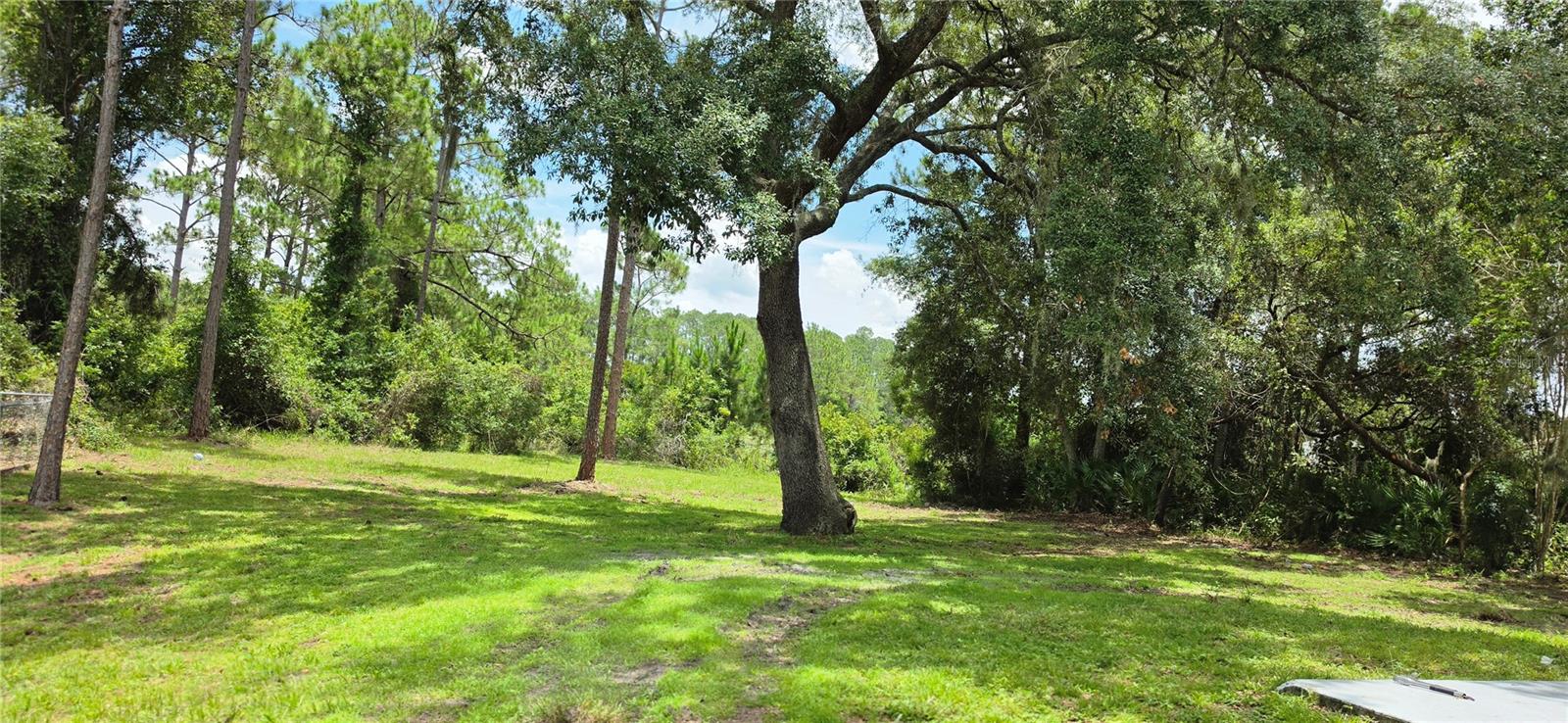 Residential in DELTONA 5