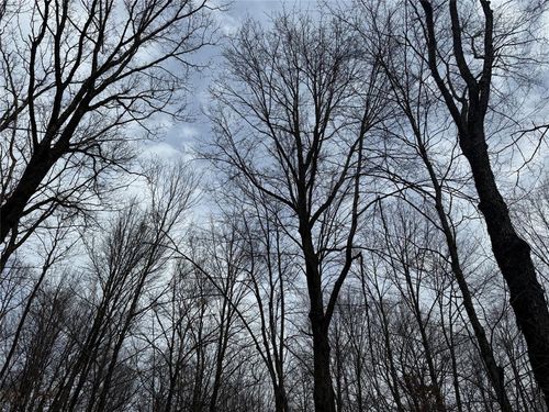 OOO Maple Rd, Granton, WI, 54436 | Card Image