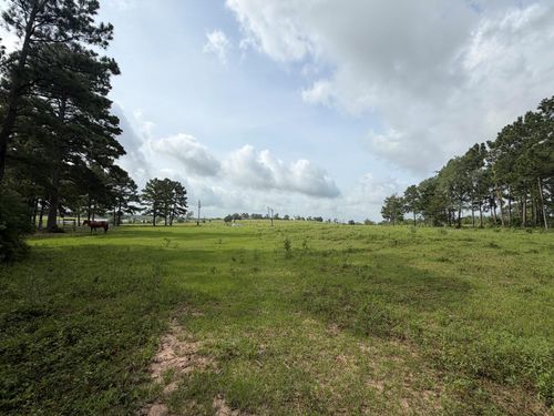 6779 County Road 215, Anderson, TX, 77830 | Card Image