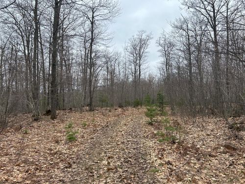 153 Acre Other, Negaunee, MI, 49866 | Card Image