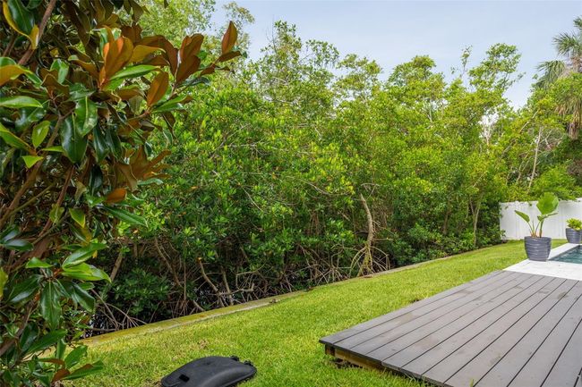canal/mangroves | Image 60