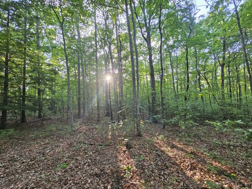 3 Woodfern Ln, Coalmont, TN, 37313 | Card Image