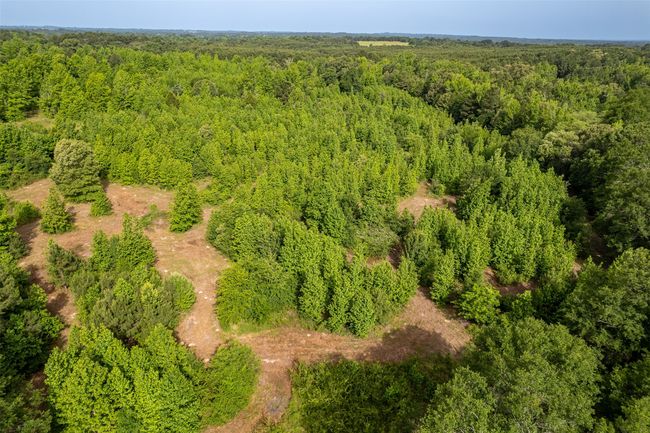 0 Johnson Rd, Home with 0 bedrooms, 0 bathrooms and null parking in Winona TX | Image 25