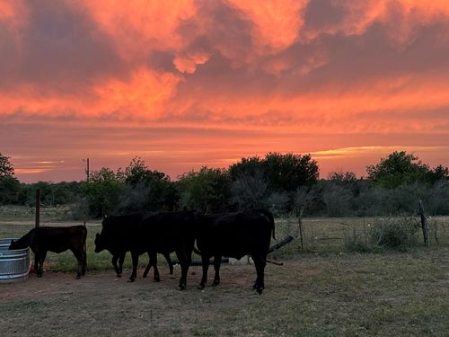4500 Fm 1980, Marble Falls, TX, 78654-7892 | Card Image