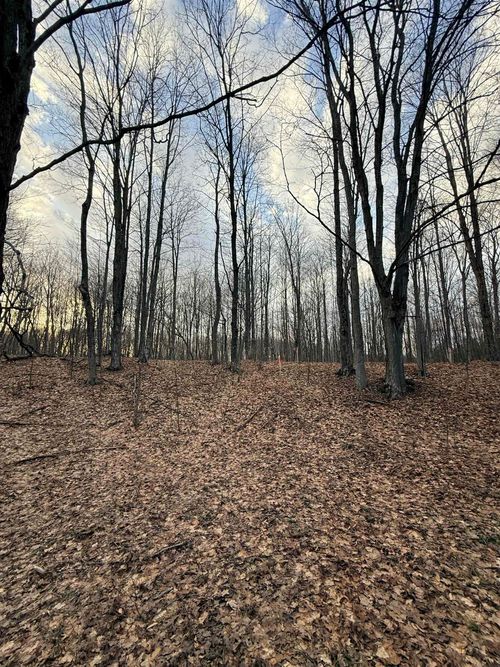1208 S Ridge Ct, Traverse City, MI, 49696-7803 | Card Image