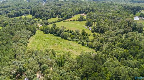 11AC County Road 501, Hanceville, AL, 35077 | Card Image