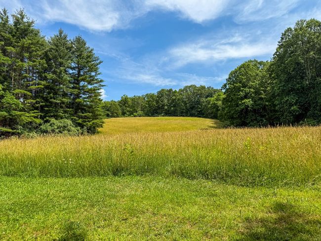 2486 Laurel Fork Rd, Home with 0 bedrooms, 0 bathrooms and null parking in Rocky Gap VA | Image 37