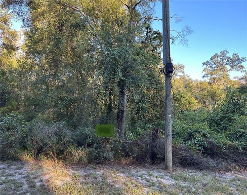 OOO Se 923rd St, OLD TOWN, FL, 32680 | Card Image