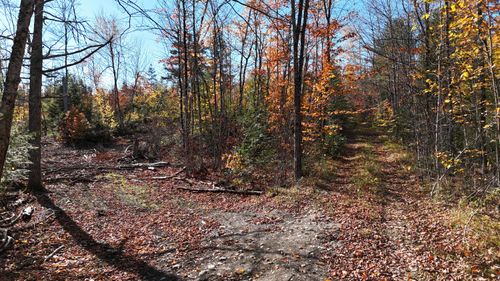 Lot 1 Old County Road, Woodville, ME, 04457 | Card Image