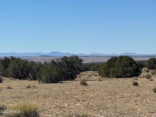 704-0 Woodlands Ranch - Lot 704 --, St Johns, AZ, 85936 | Card Image