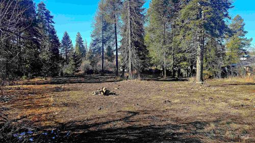 92 Rouleau Loop, Weippe, ID, 83553-5136 | Card Image