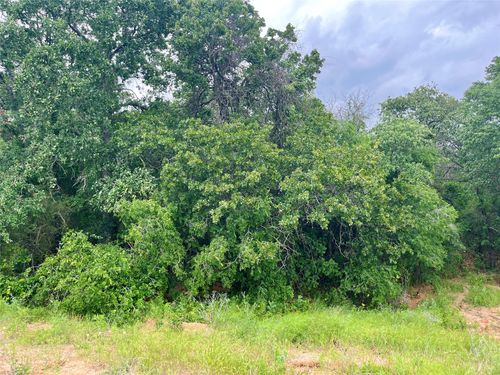 Lot 18 Kilkenny Rd, Poolville, TX, 76487 | Card Image