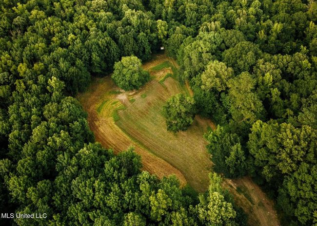 Castens Creek Pics-48 | Image 20