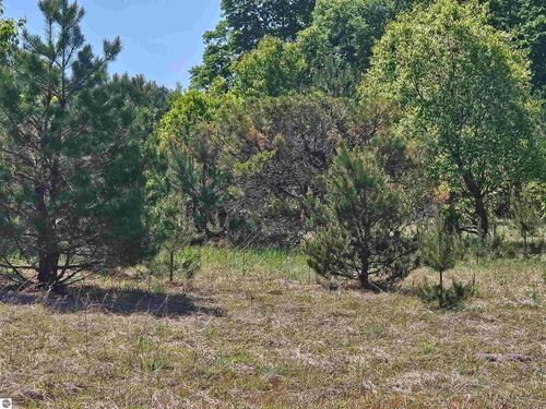 V/L Parcel C Grass Lake Rd Ne, Kalkaska, MI, 49646 | Card Image