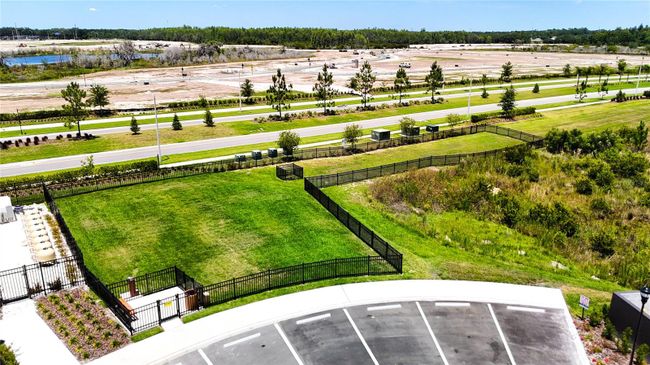 Dog Park | Image 42