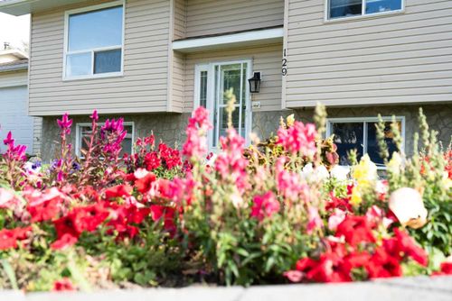 129 Scandia Crt, Scandia, AB, T0J2Z0 | Card Image