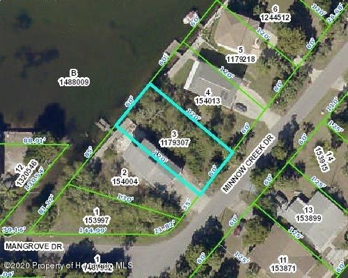 00 Minnow Creek Dr, Spring Hill, FL, 34607 | Card Image