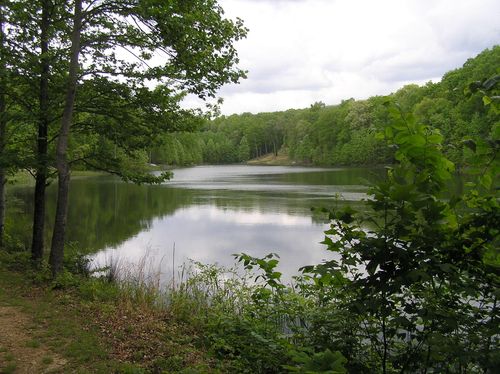 100 Valley View Dr, Altamont, TN, 37301 | Card Image