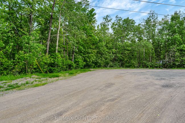 0 Forest Park Rd, Home with 0 bedrooms, 0 bathrooms and null parking in Marmora ON | Image 8