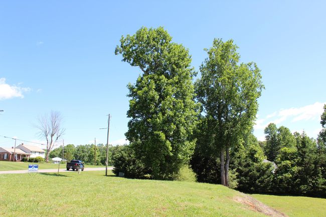 000 Thompson Rd, Home with 0 bedrooms, 0 bathrooms and null parking in Rutherfordton NC | Image 17
