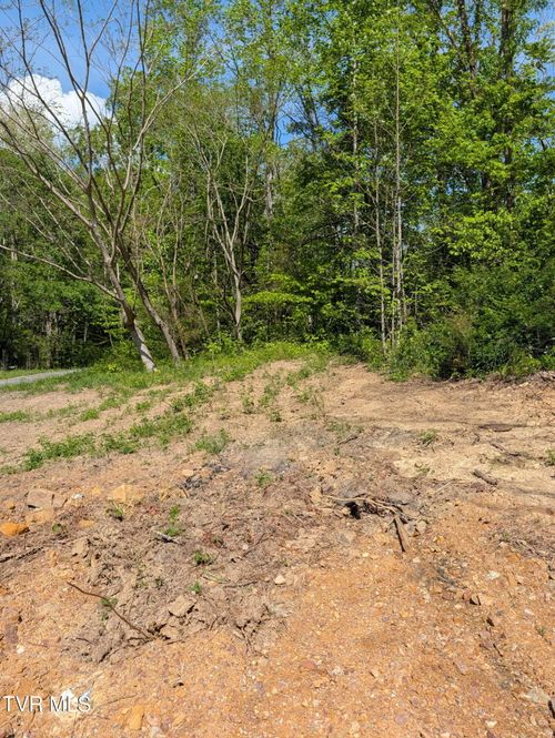 523 Sulphur Springs Road, Rogersville, TN, 37857 | Card Image