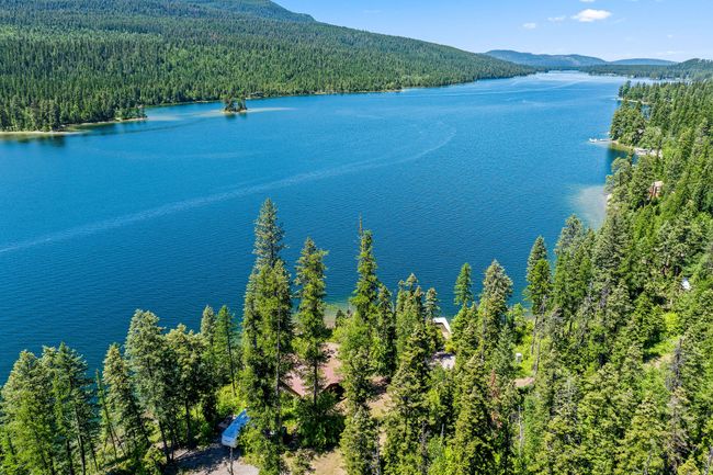 Aerial view featuring Swan Lake and a heavily wooded area with a mountainous background | Image 4